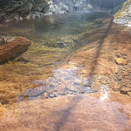 La Cabanya Ribes De Freser